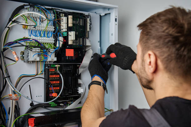 Licensed Electrical Panel Upgrade service in Wanamingo, MN - No Joke electrician